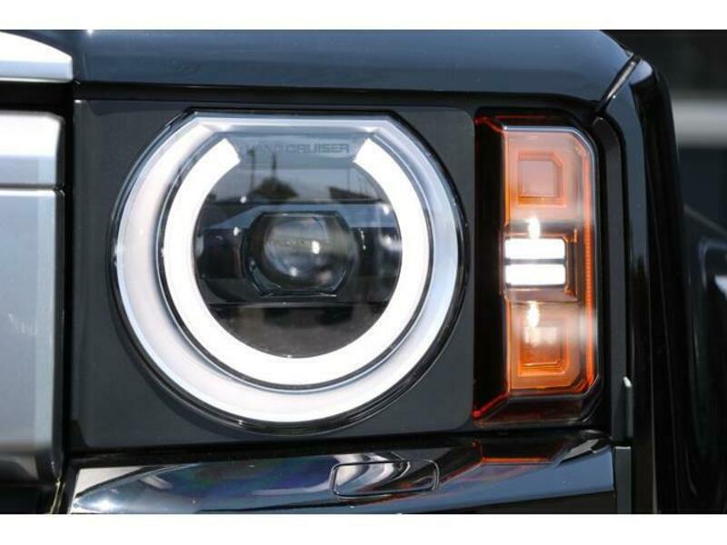 LAND CRUISER 250