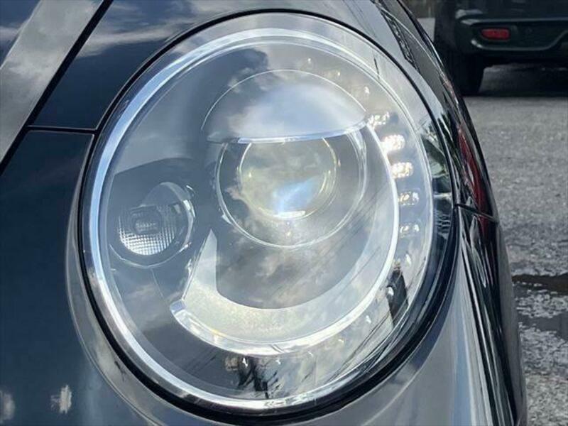 THE BEETLE