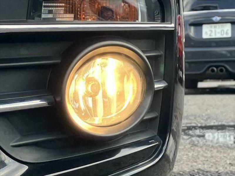 THE BEETLE