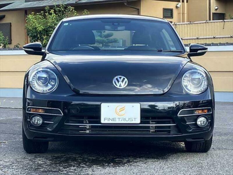 THE BEETLE