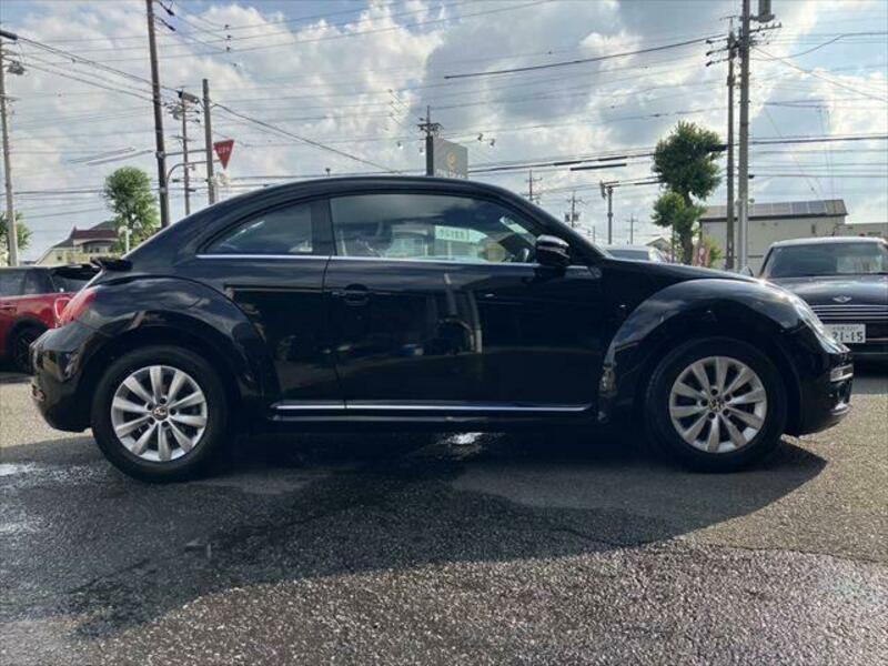 THE BEETLE