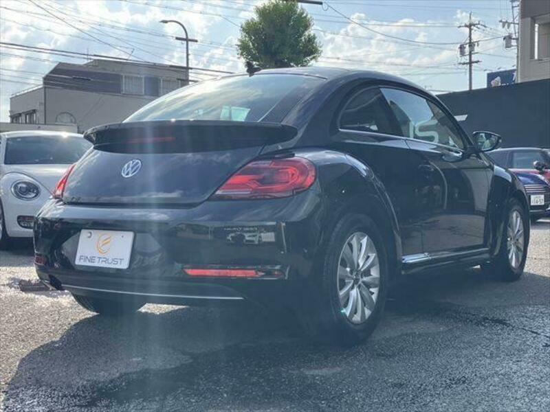 THE BEETLE