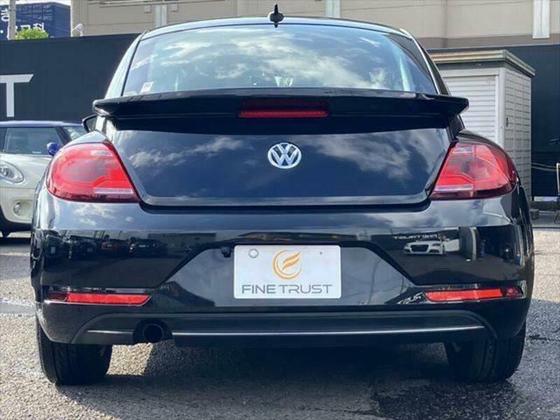 THE BEETLE