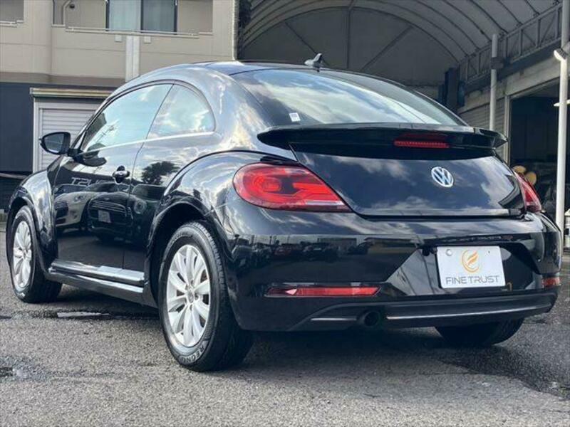 THE BEETLE