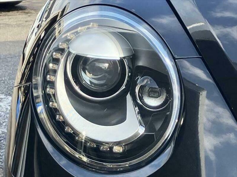 THE BEETLE