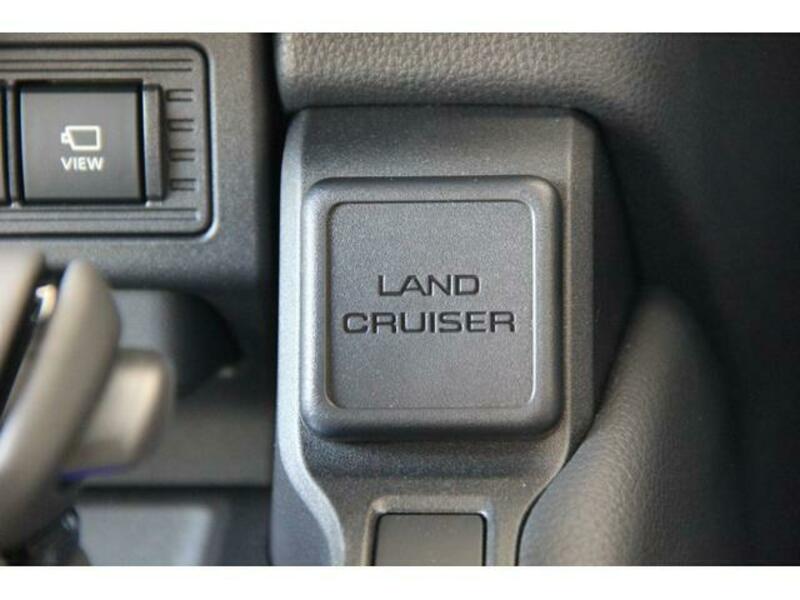 LAND CRUISER 250