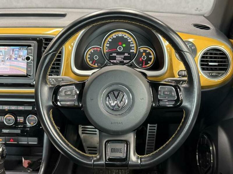 THE BEETLE