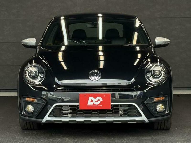 THE BEETLE