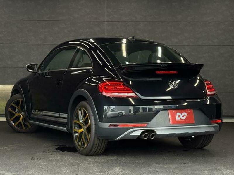 THE BEETLE