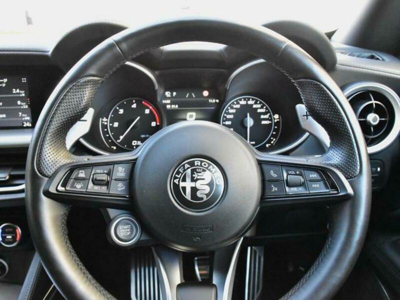 STELVIO