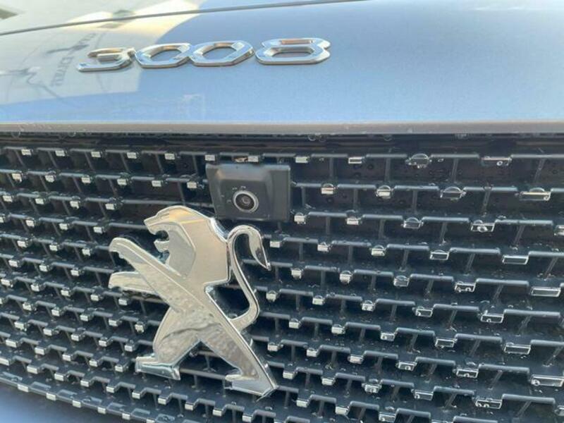 3008