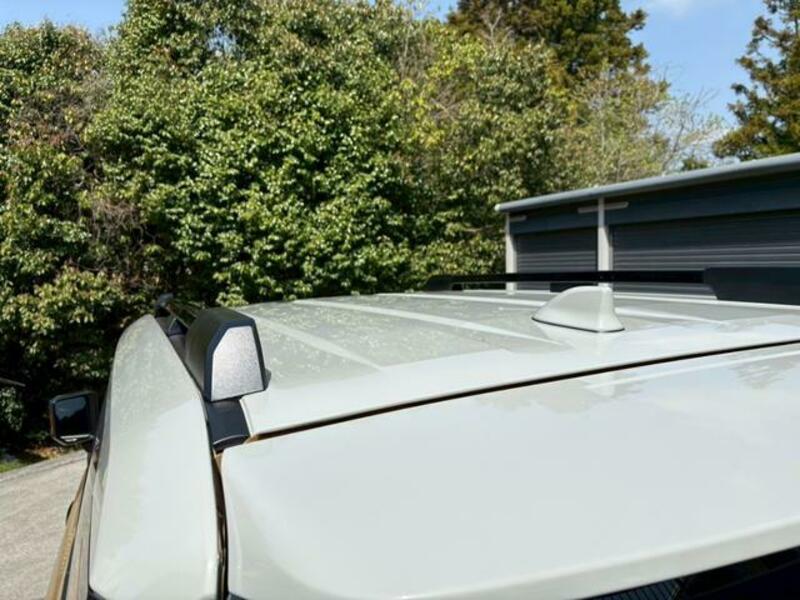 LAND CRUISER 250
