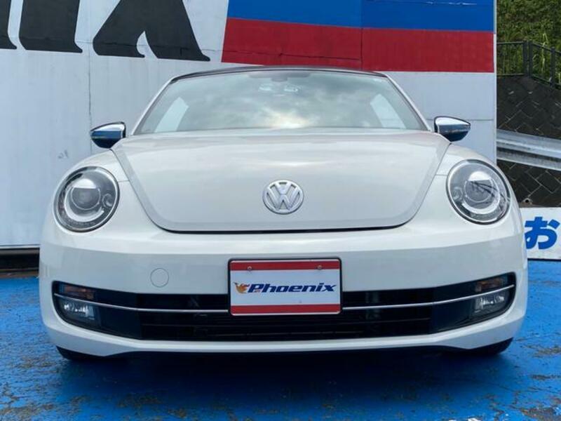THE BEETLE