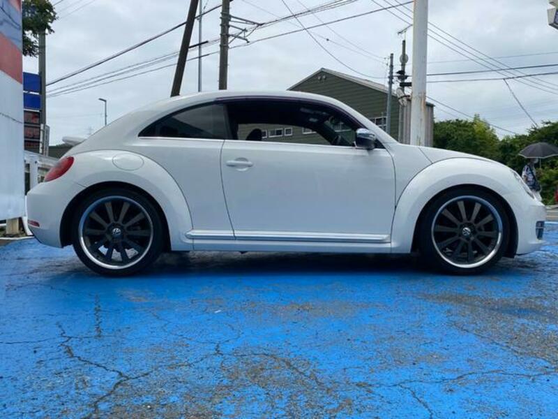 THE BEETLE