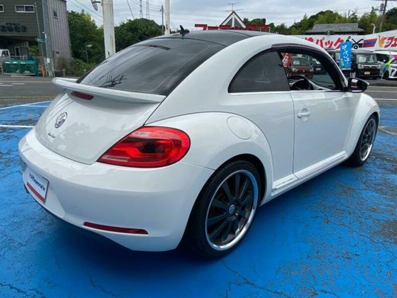 THE BEETLE