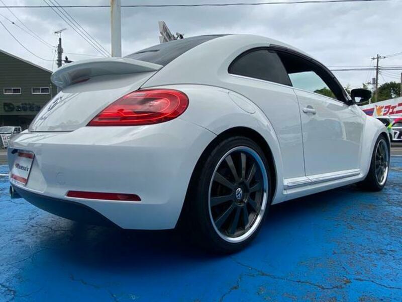 THE BEETLE