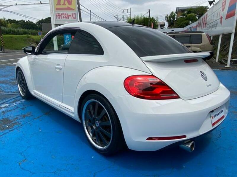 THE BEETLE