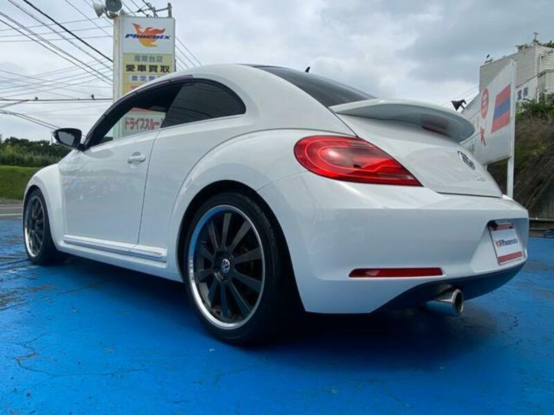 THE BEETLE