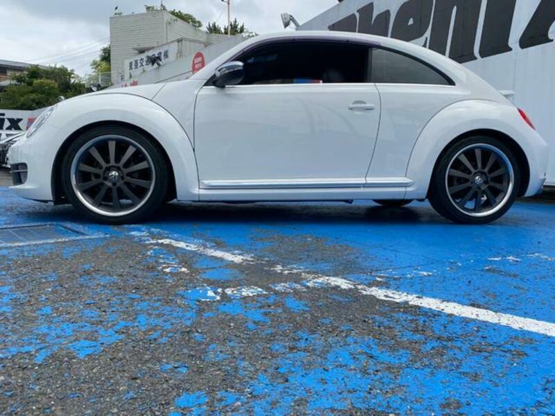 THE BEETLE