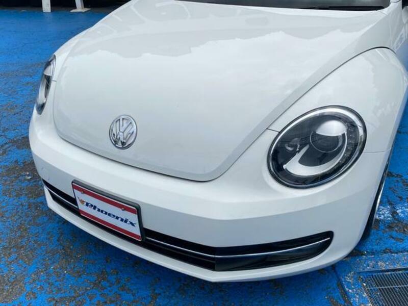 THE BEETLE