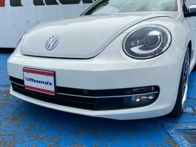 THE BEETLE