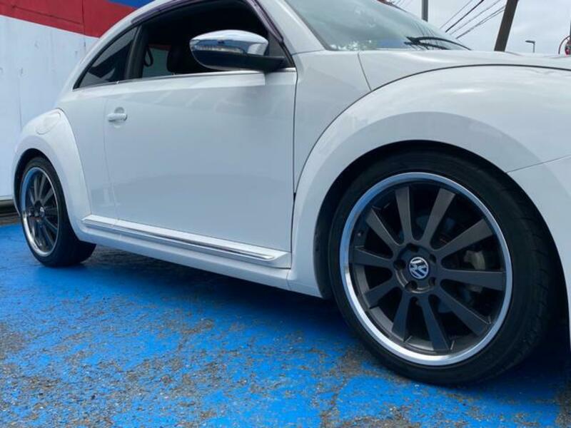 THE BEETLE