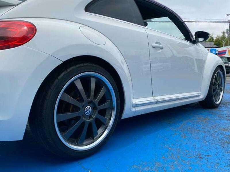 THE BEETLE