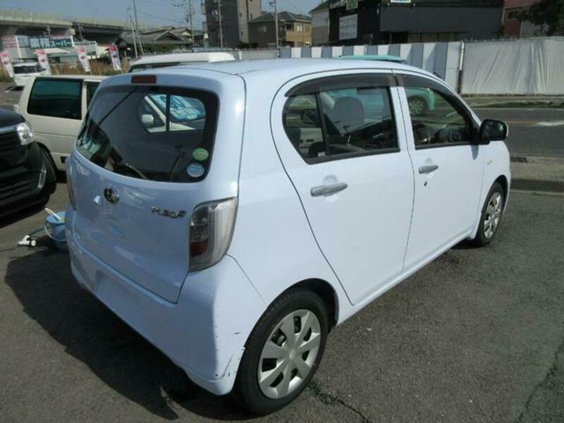 PLEO PLUS
