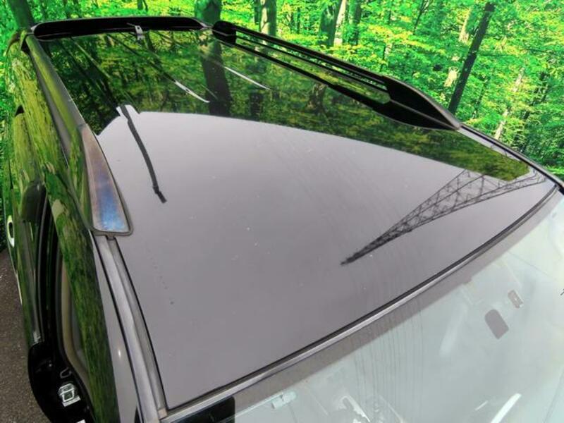 HILUX SURF