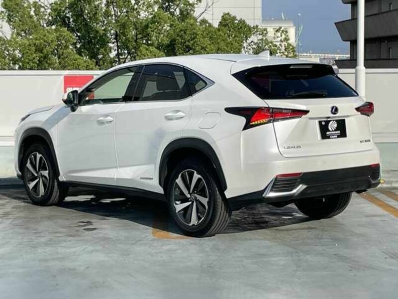 NX