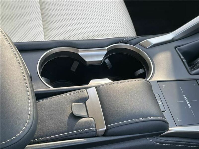 NX