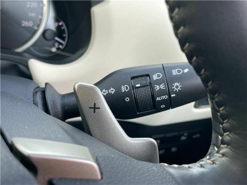 NX