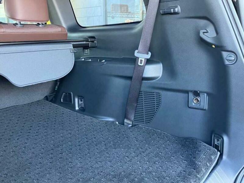 LAND CRUISER 250