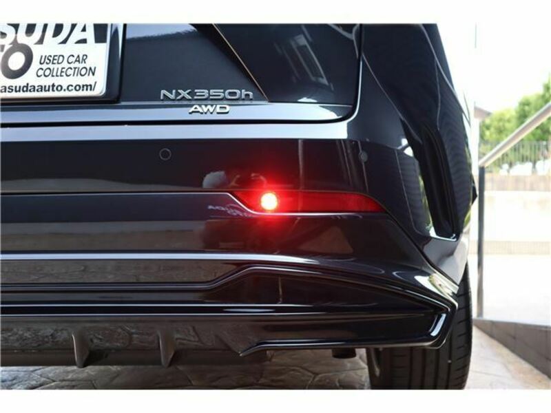 NX