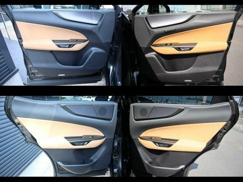 NX