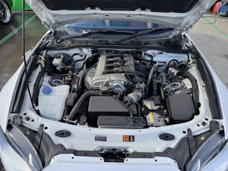 ROADSTER RF