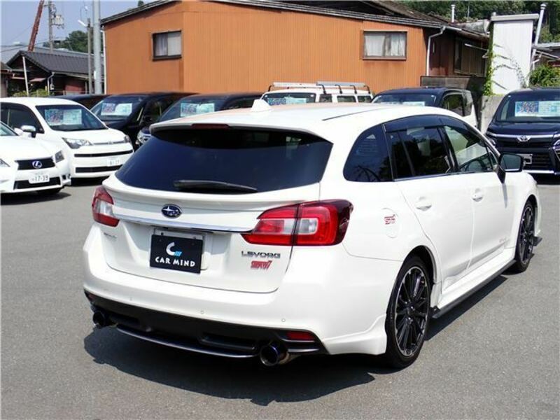 LEVORG