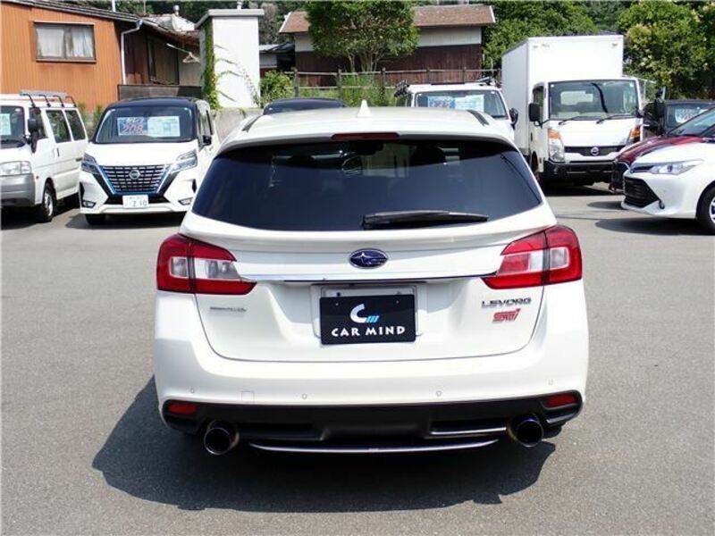 LEVORG