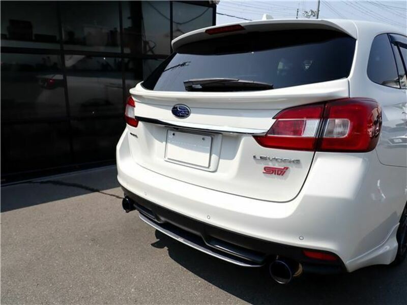 LEVORG
