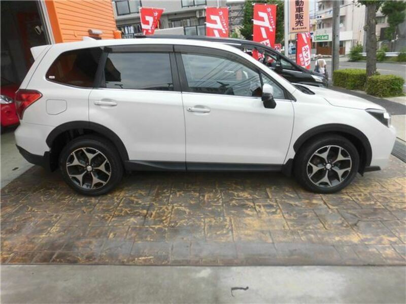 FORESTER