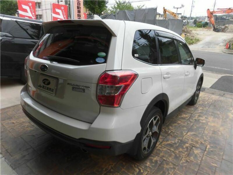 FORESTER
