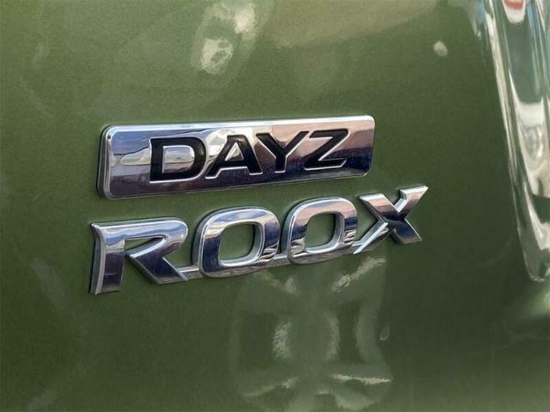 DAYZ ROOX