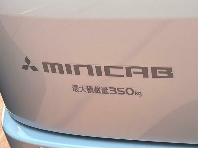 MINICAB VAN