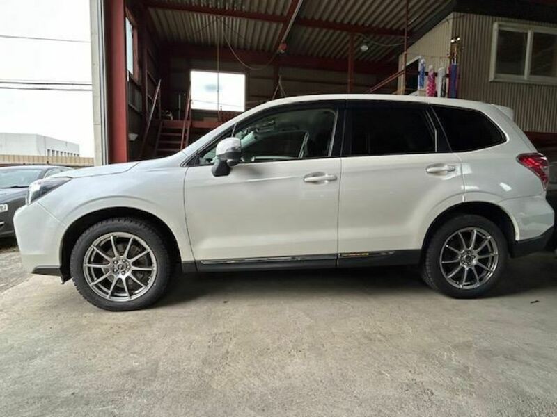 FORESTER