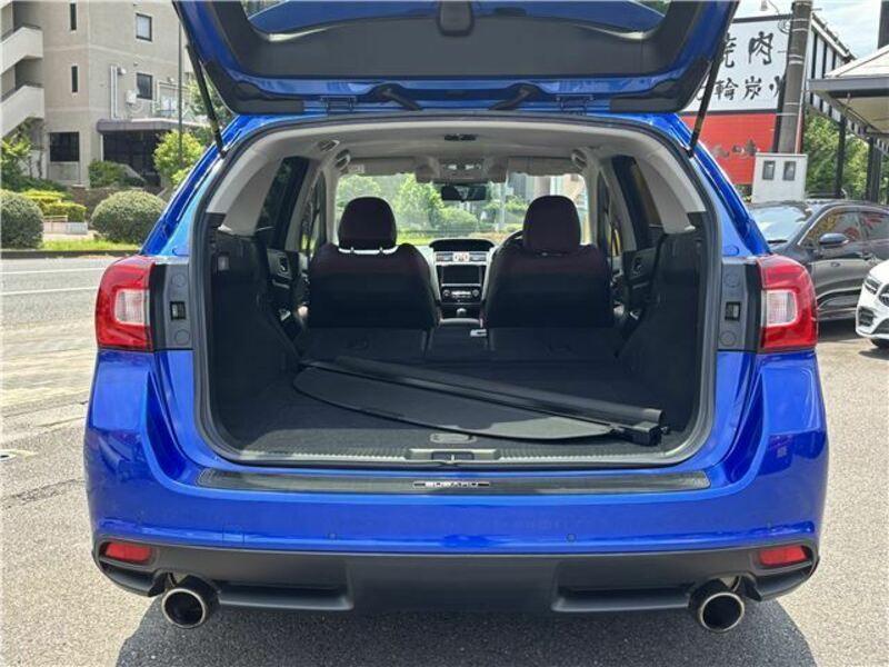 LEVORG