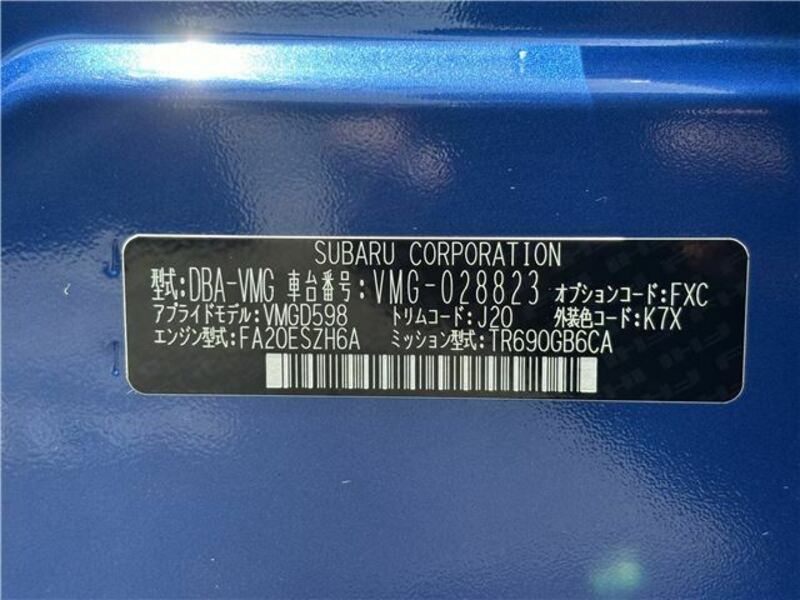 LEVORG