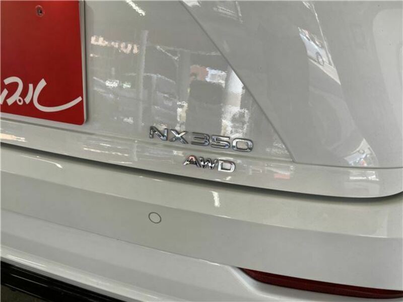 NX