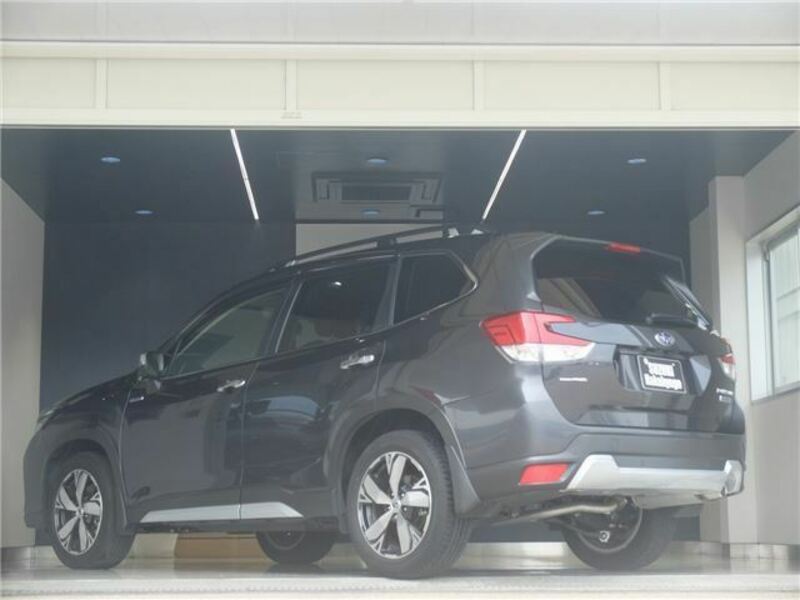 FORESTER