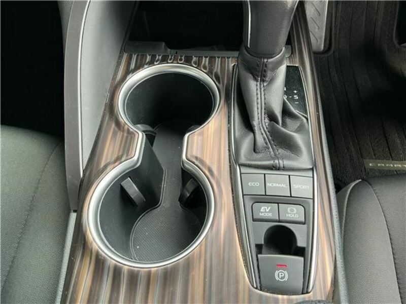 CAMRY