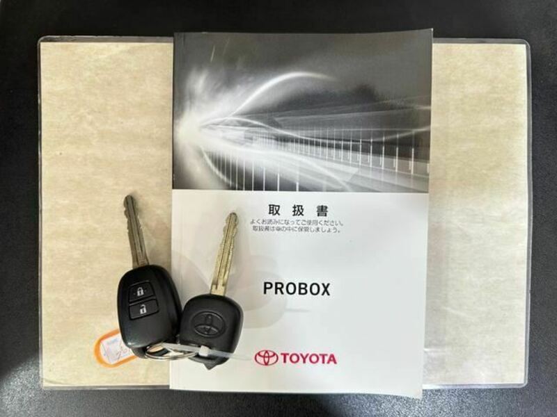 PROBOX VAN